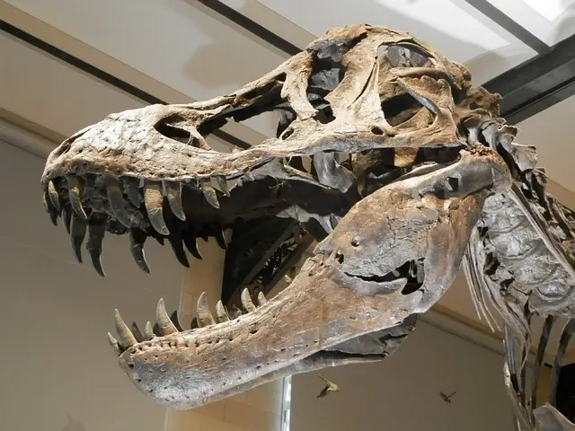 Dinosauren Ornithocheirus: Fascinerende Trivia og Fakta