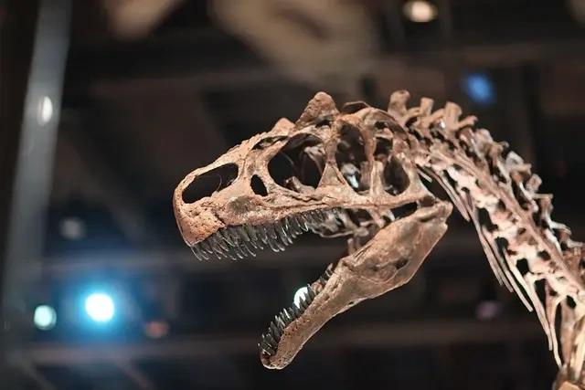 Opdag de mest interessante fakta om Heterodontosaurus - en dansk guide!