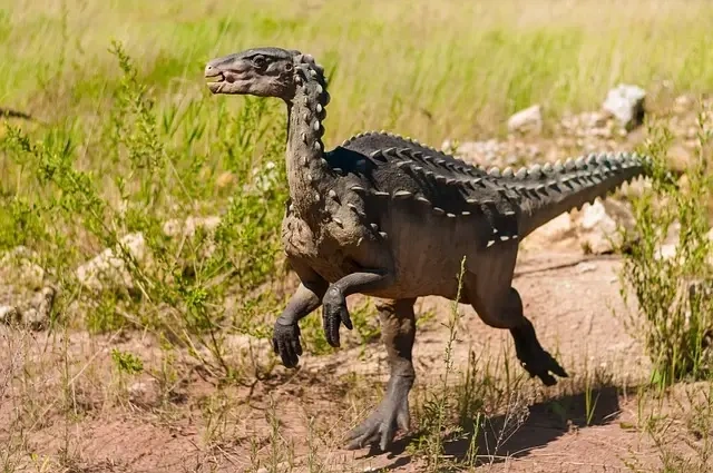Kentrosaurus: Hvordan denne Dinosaur adskiller sig fra andre