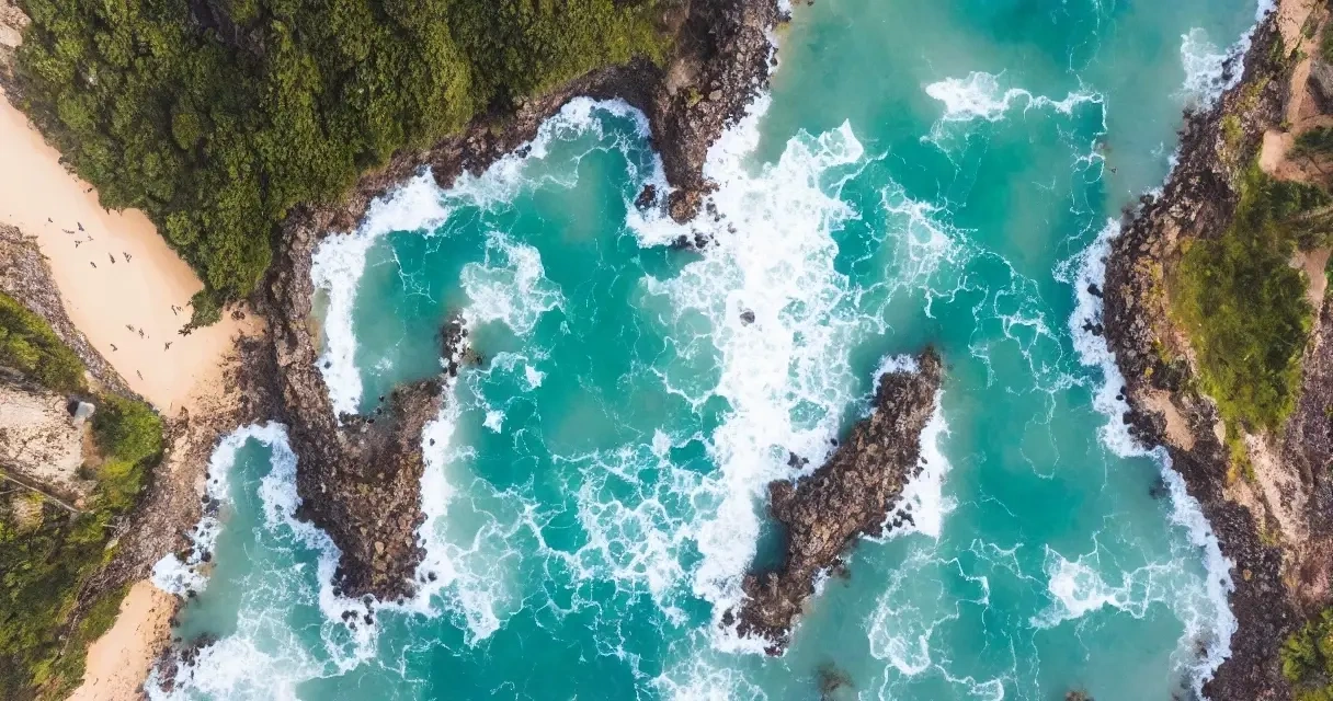 10 fakta om Nyctosaurus, du ikke vidste 10 fakta om Nyctosaurus, du ikke vidste