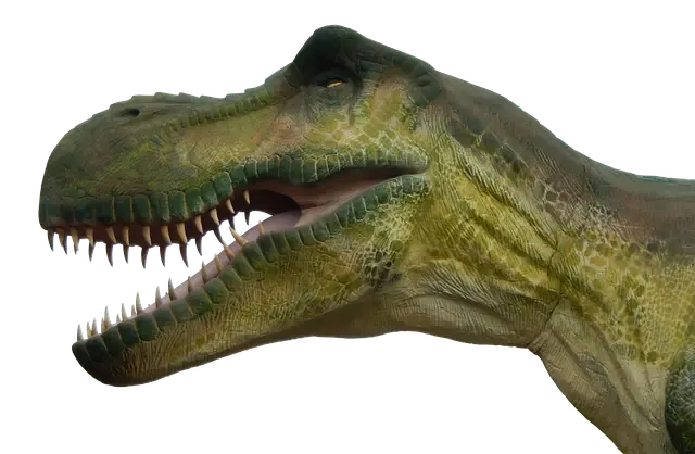 Einiosaurus: En dansk guide til dens udseende og anatomi Einiosaurus: En dansk guide til dens udseende og anatomi