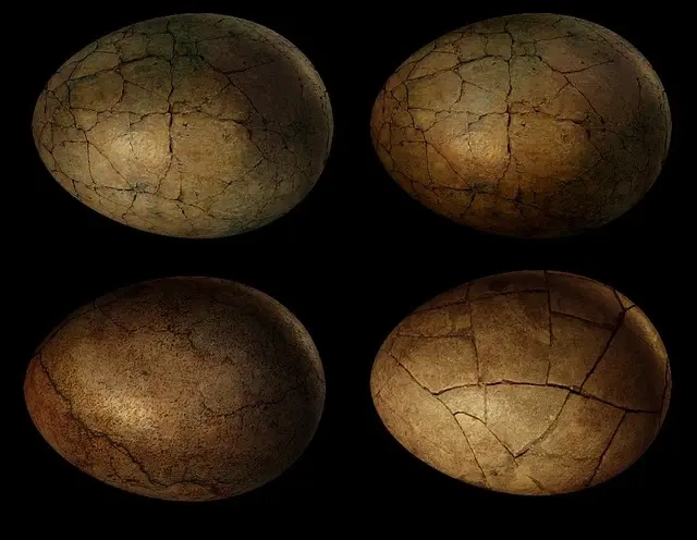 Fascinerende fakta om Suchomimus – en guide til den danske dinosaurs liv og levevis Fascinerende fakta om Suchomimus – en guide til den danske dinosaurs liv og levevis