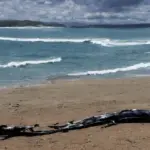 Fra havet til landjorden: Hvordan Ichthyosaurus udviklede sig