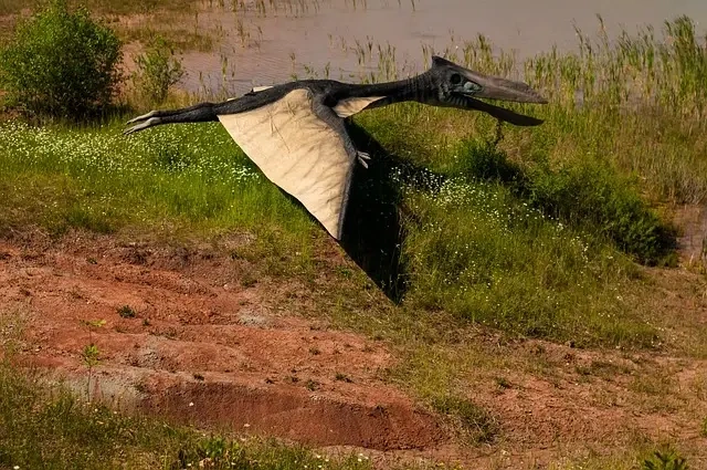 Spændende trivia om Albertosaurus – Dinosaurens danske guide