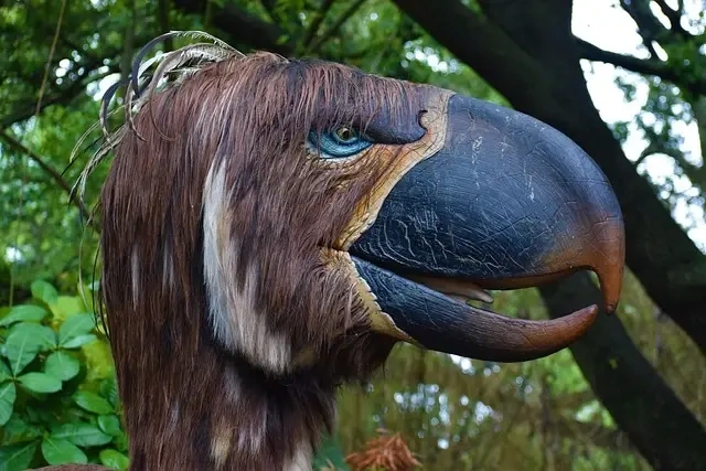 Verdens største Triceratops-samling: En rundvisning på Naturhistorisk Museum